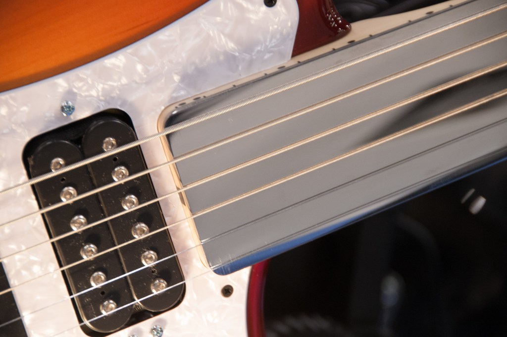 Fretted, Microtonal, and Fretless&nbsp;Guitars.